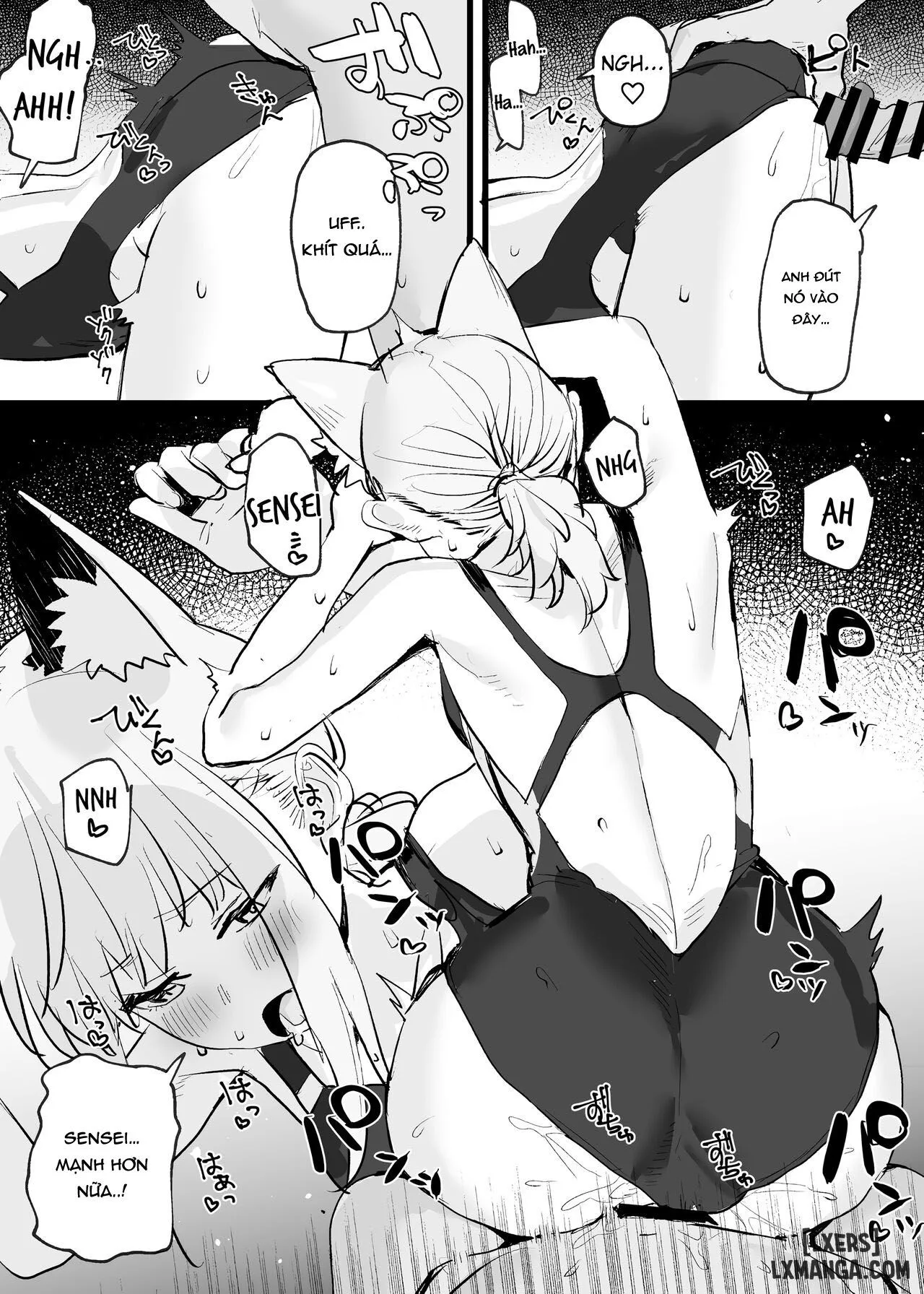 chapter-1-5