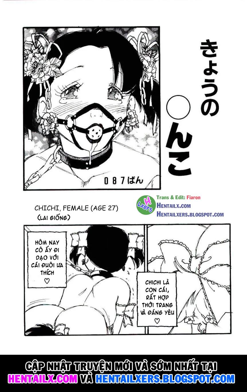 chapter-8-end-25