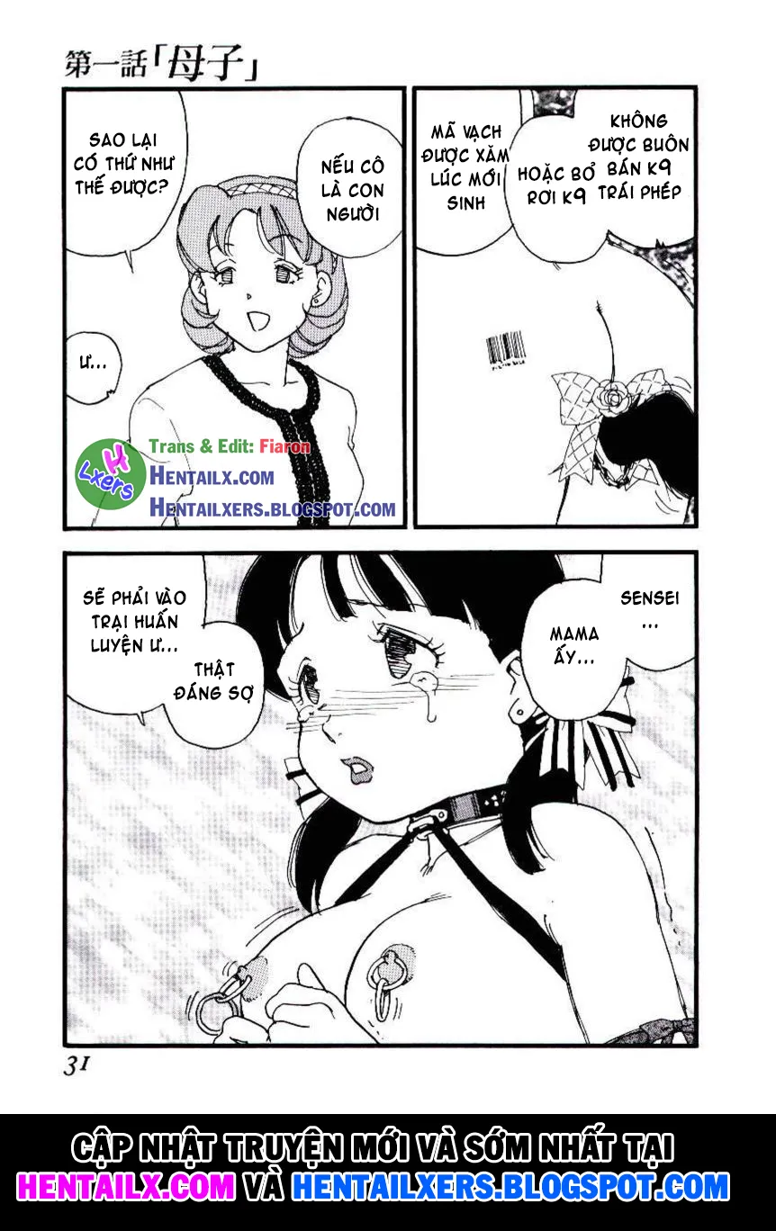chapter-1-29
