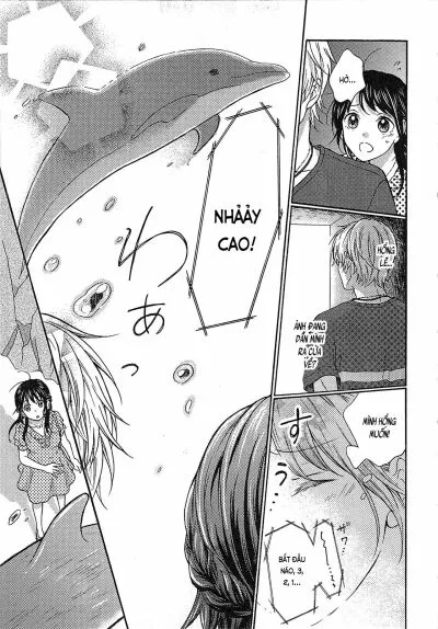 chapter-5-6