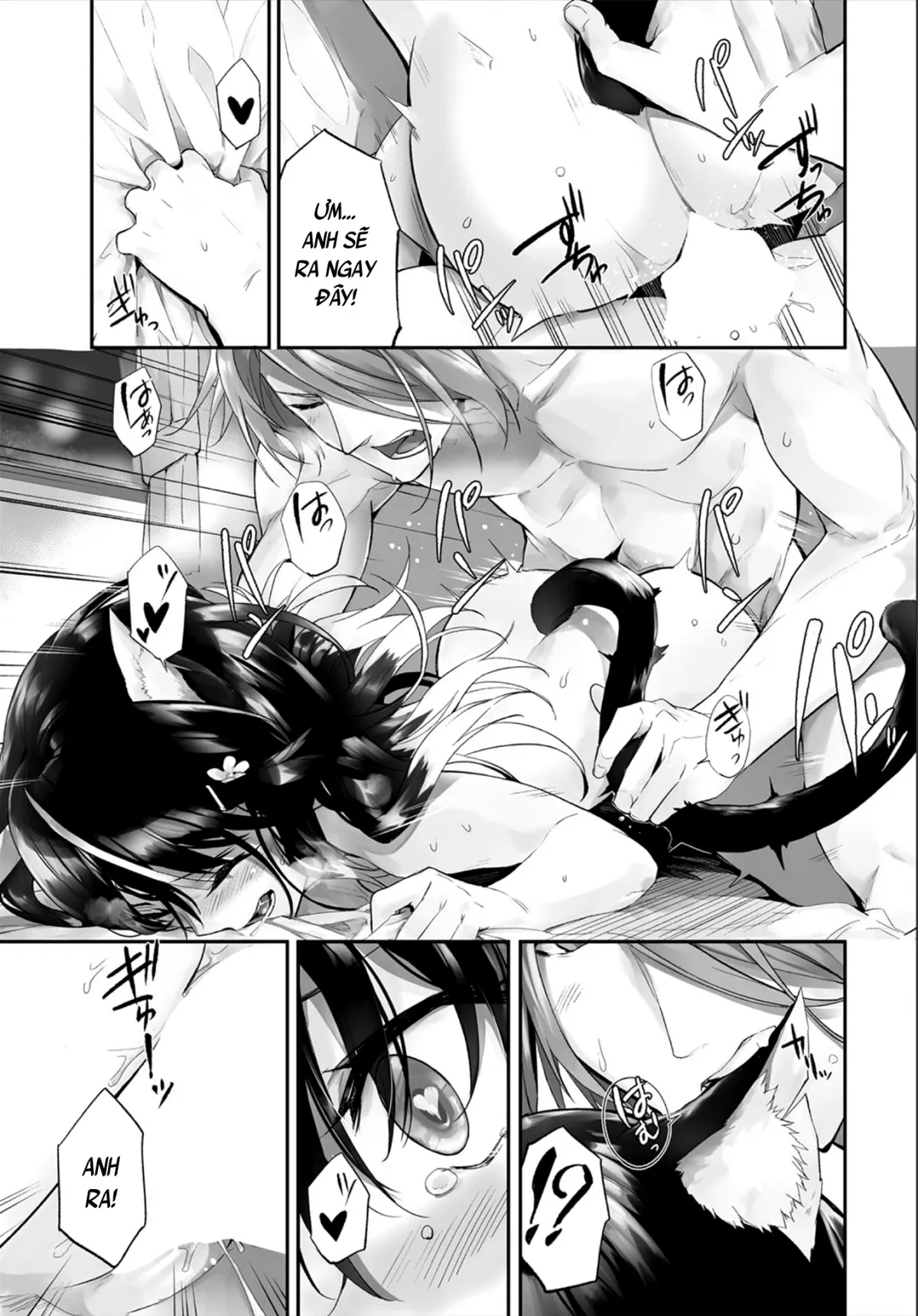 chapter-14-17