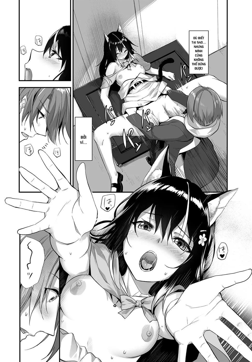 chapter-13-12