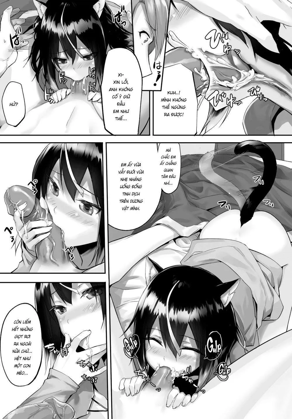 chapter-2-6