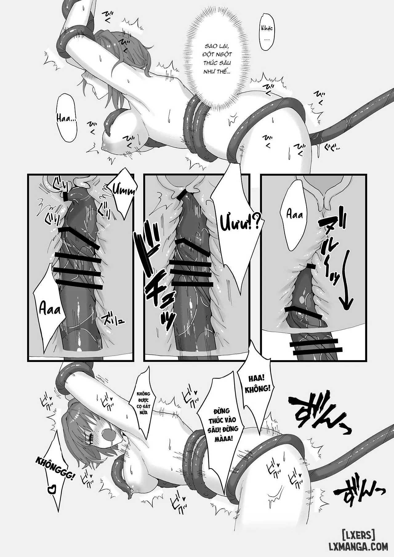 chapter-2-13