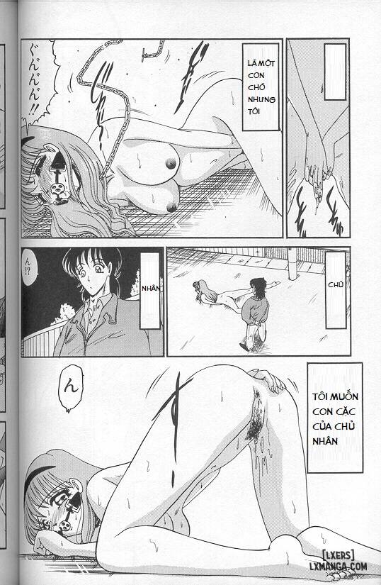 chapter-1-11