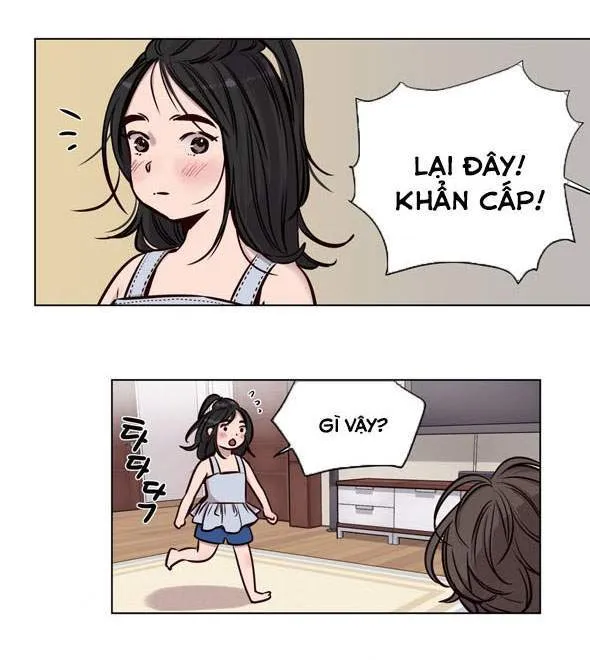 chapter-49-1