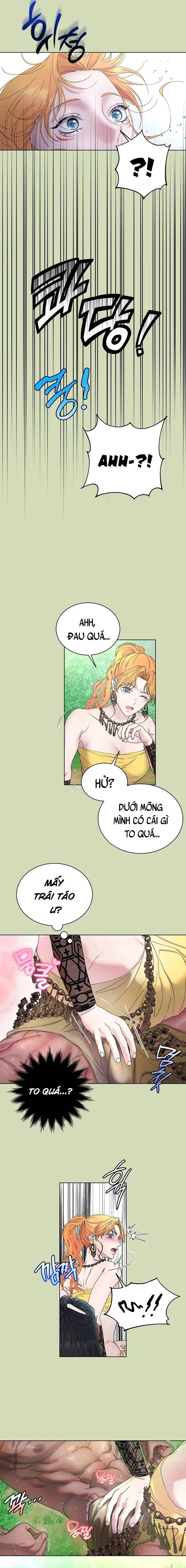 chapter-5-6