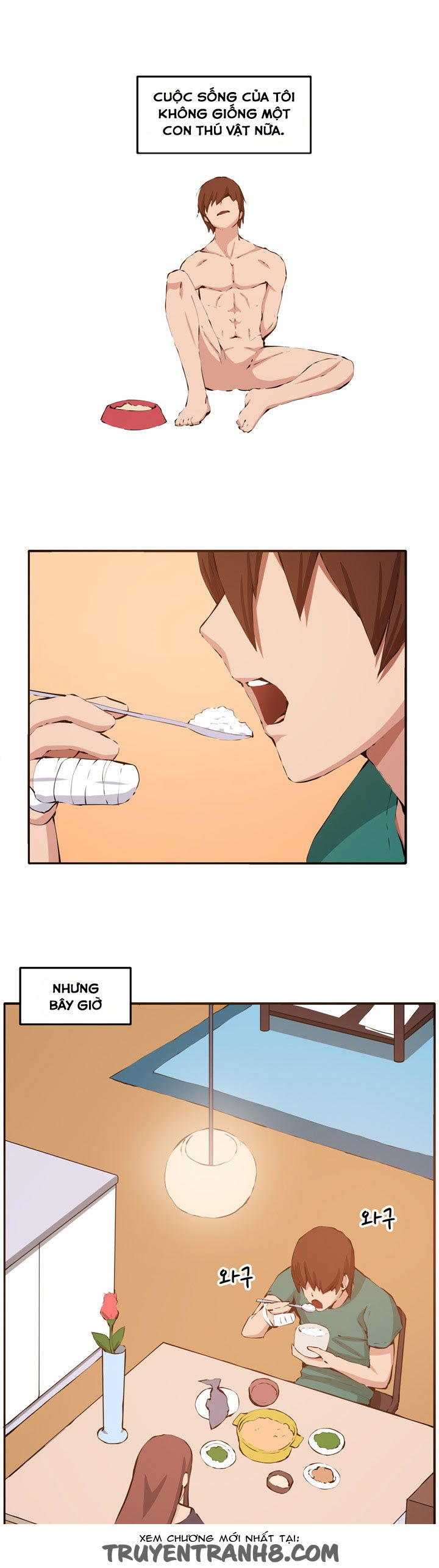 chapter-12-21