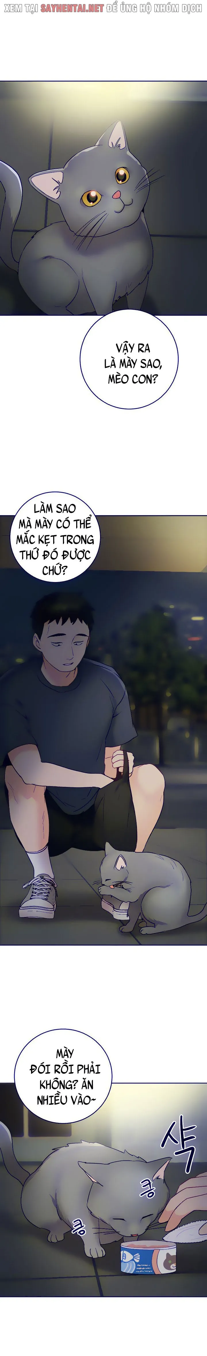 chapter-43-1