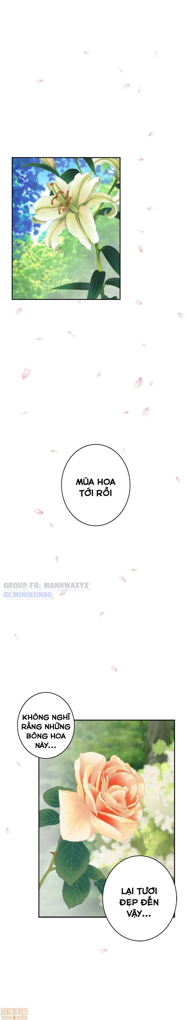 chap-19-19