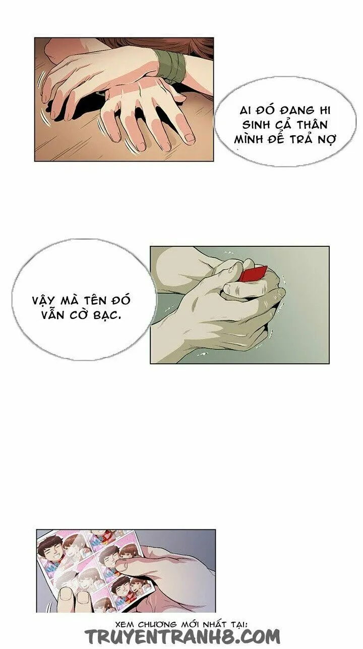 chapter-24-28