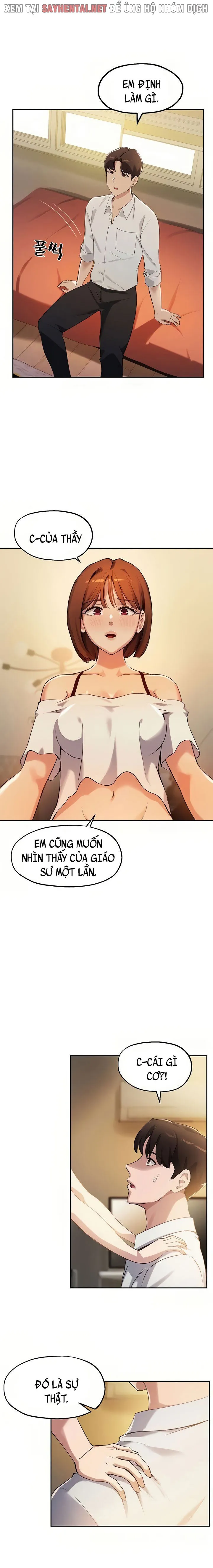 chapter-15-19