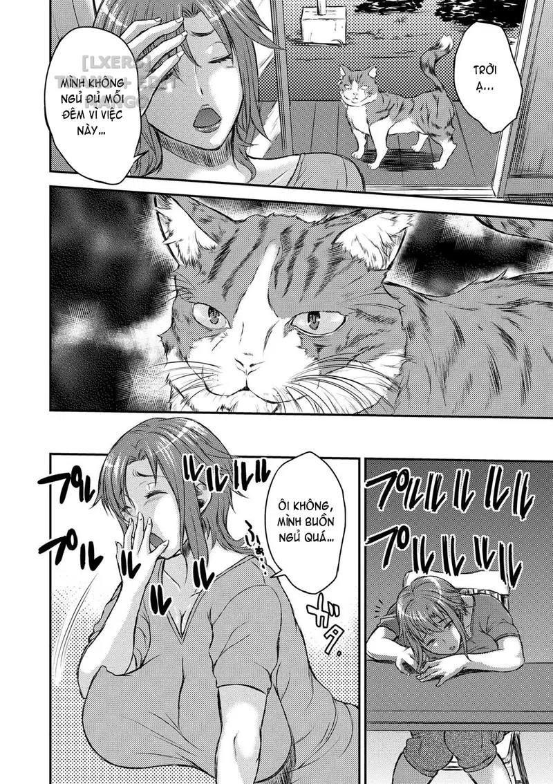 chapter-3-3