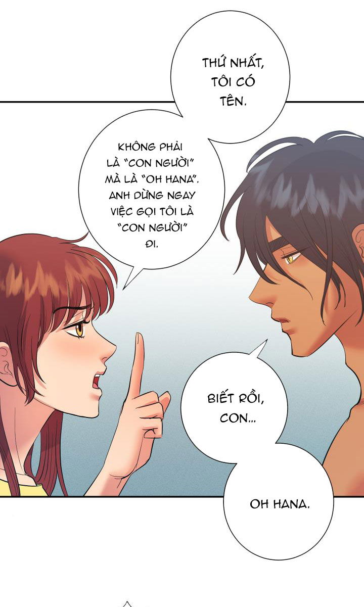 chapter-13-31