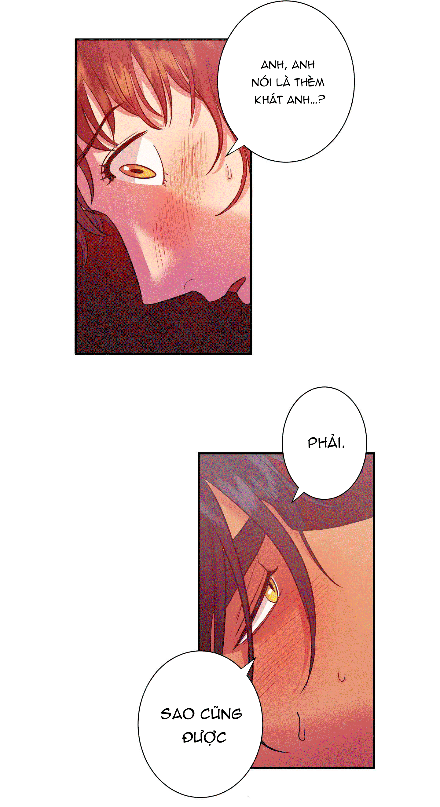 chapter-11-13