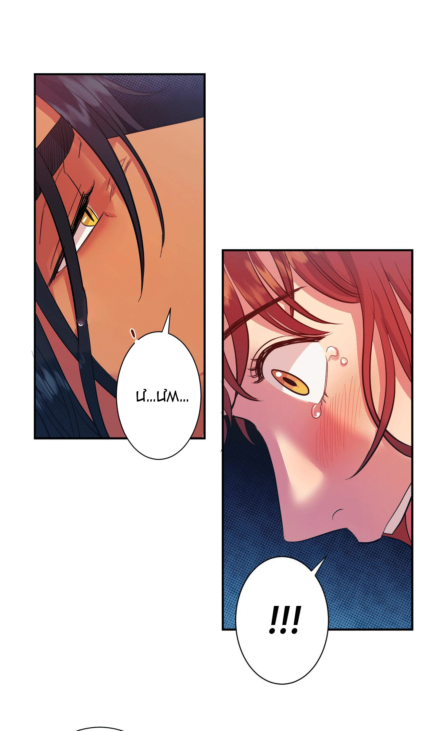 chapter-11-7