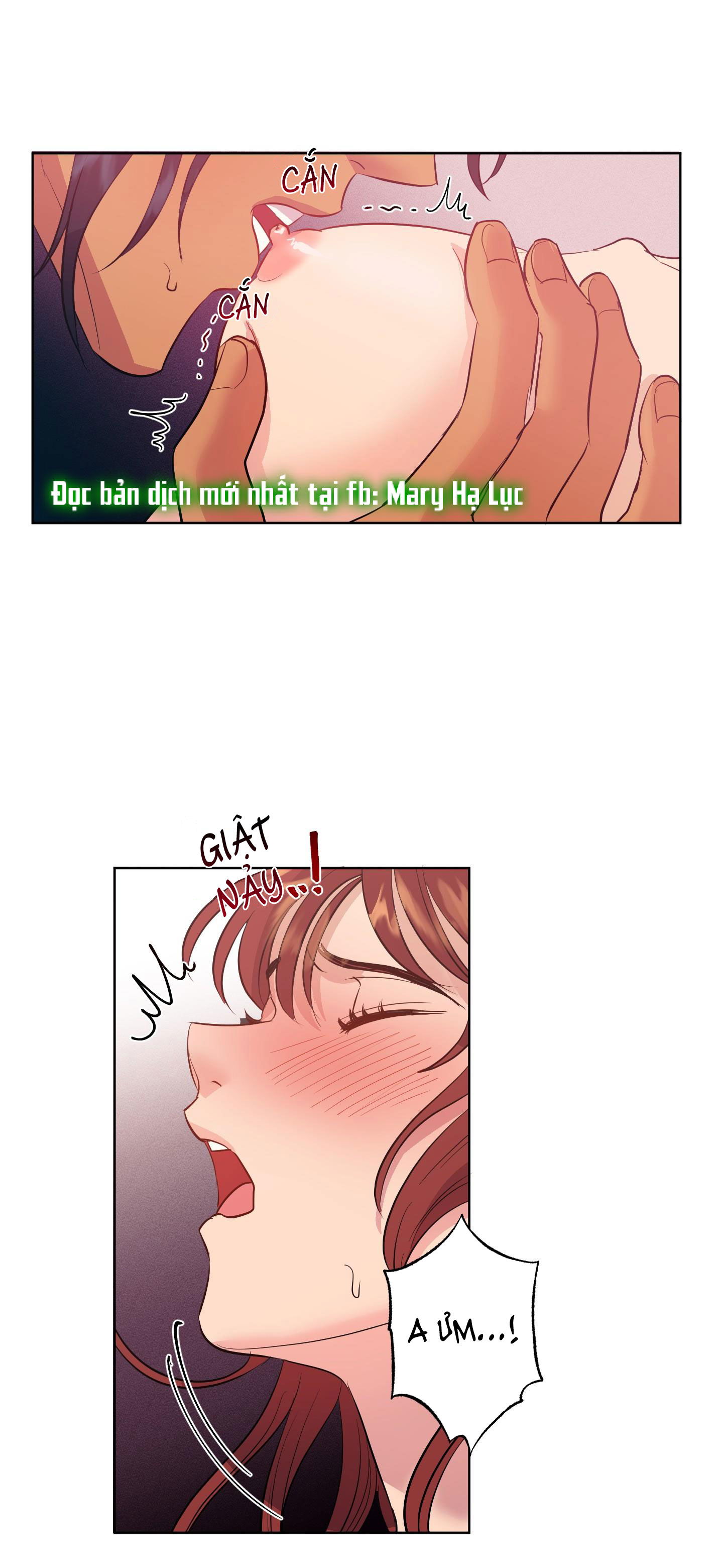 chapter-5-5
