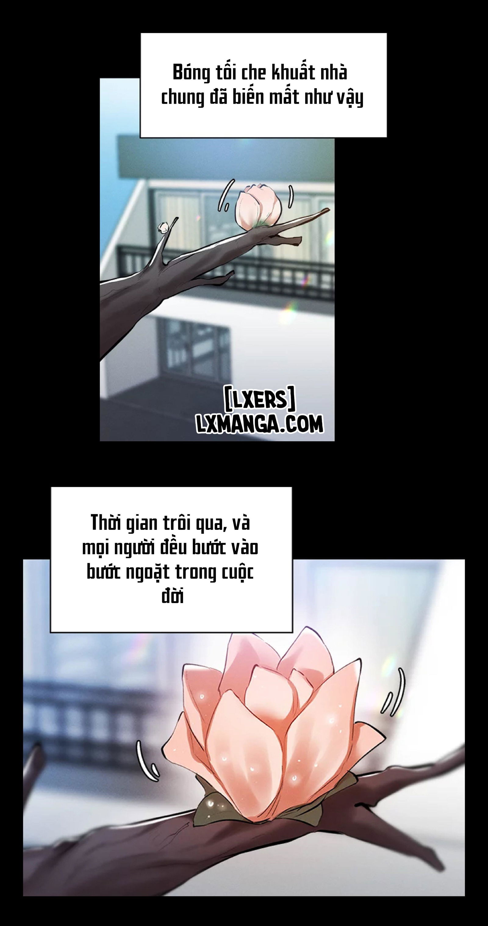 chapter-64-end-29