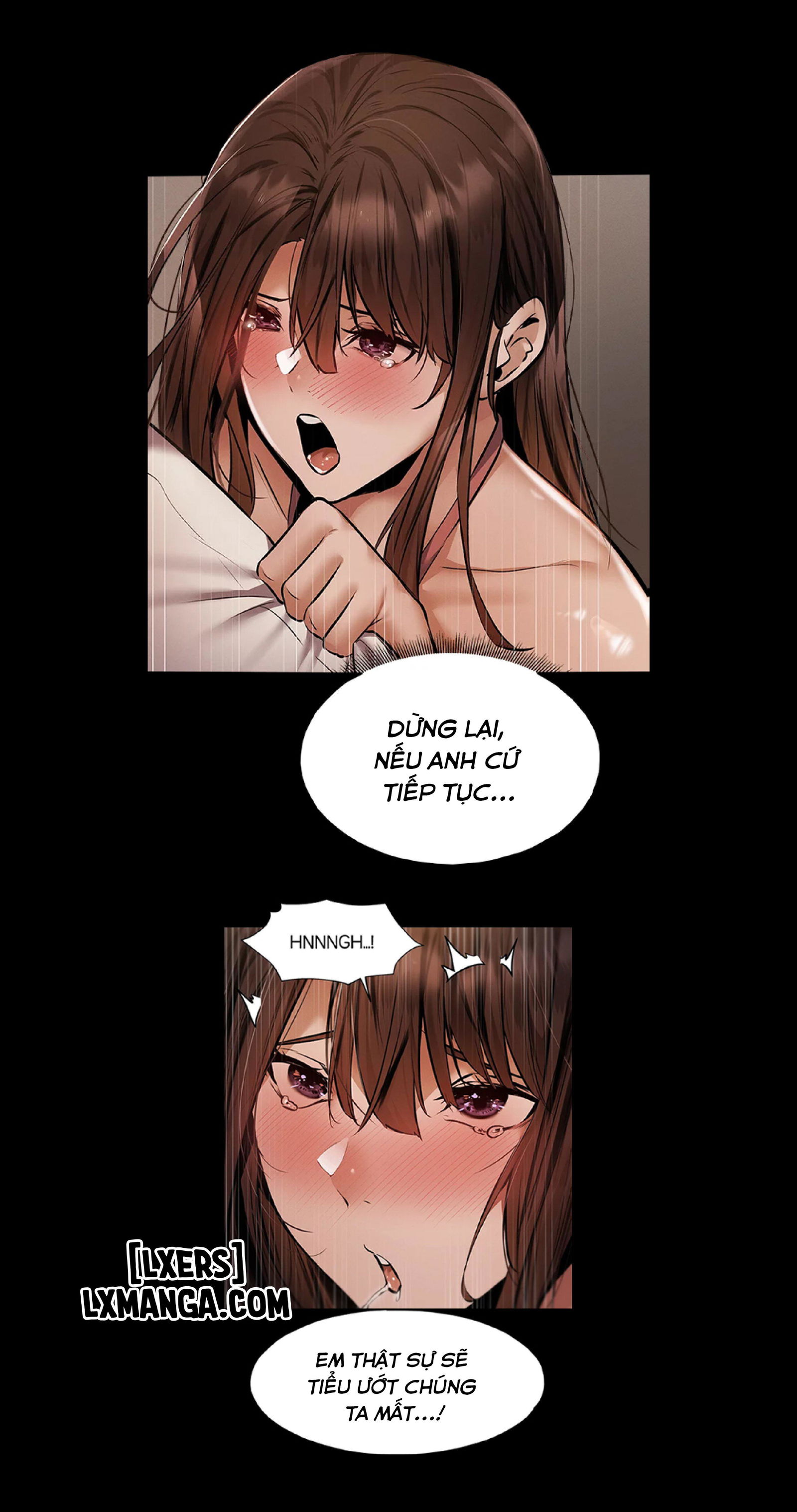 chapter-55-16