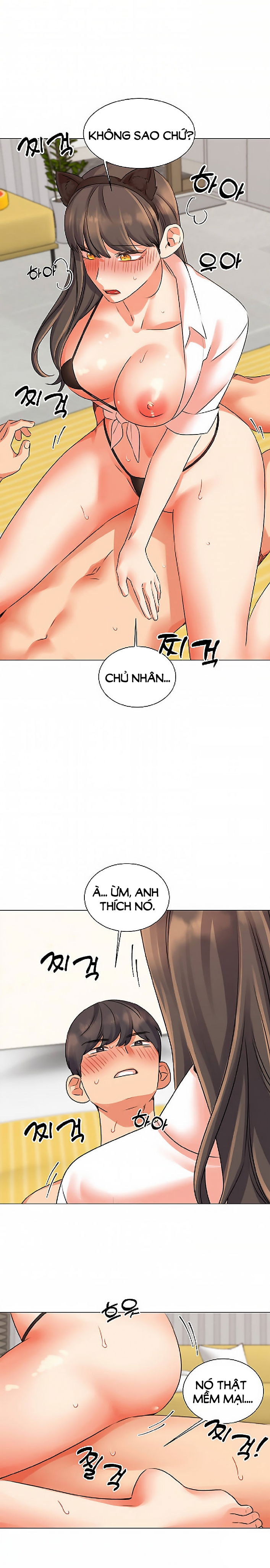 chapter-39-13