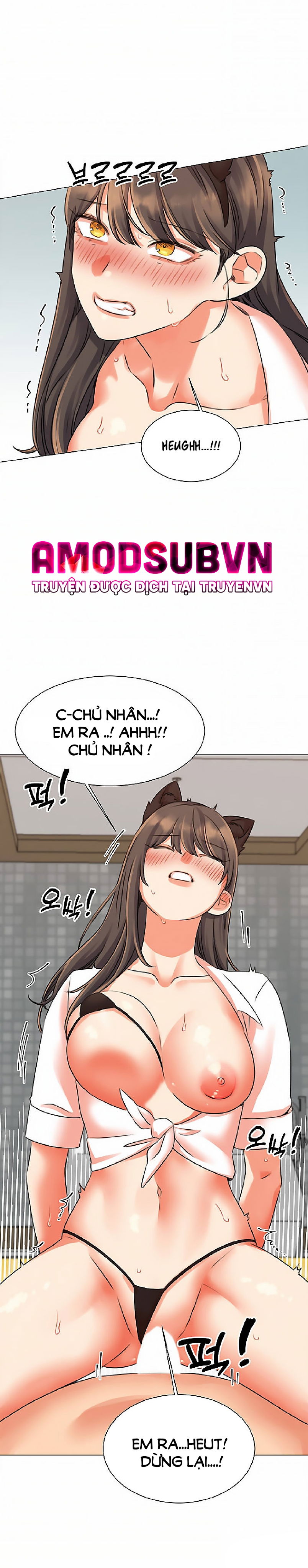 chapter-39-20