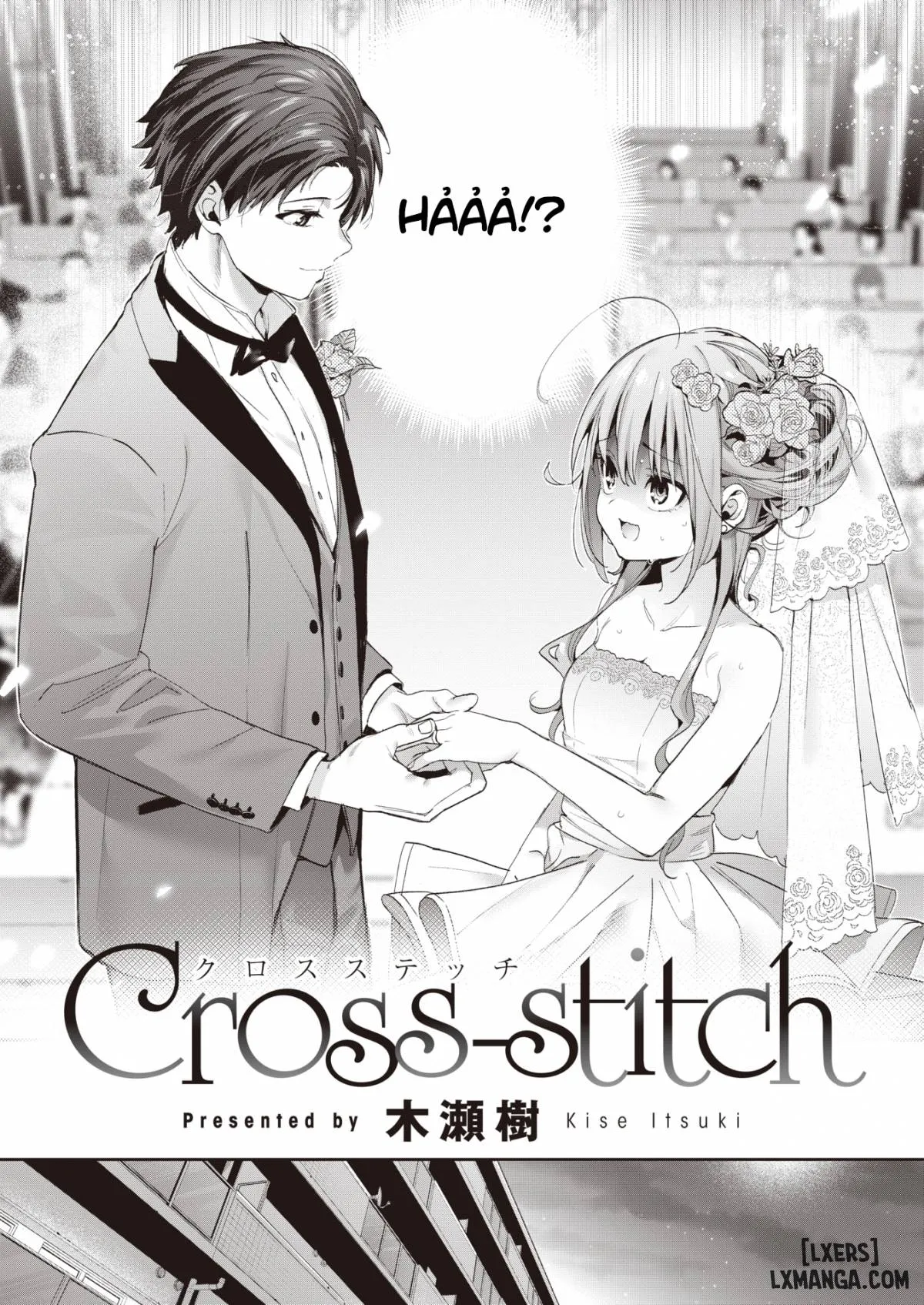Cross-stitch